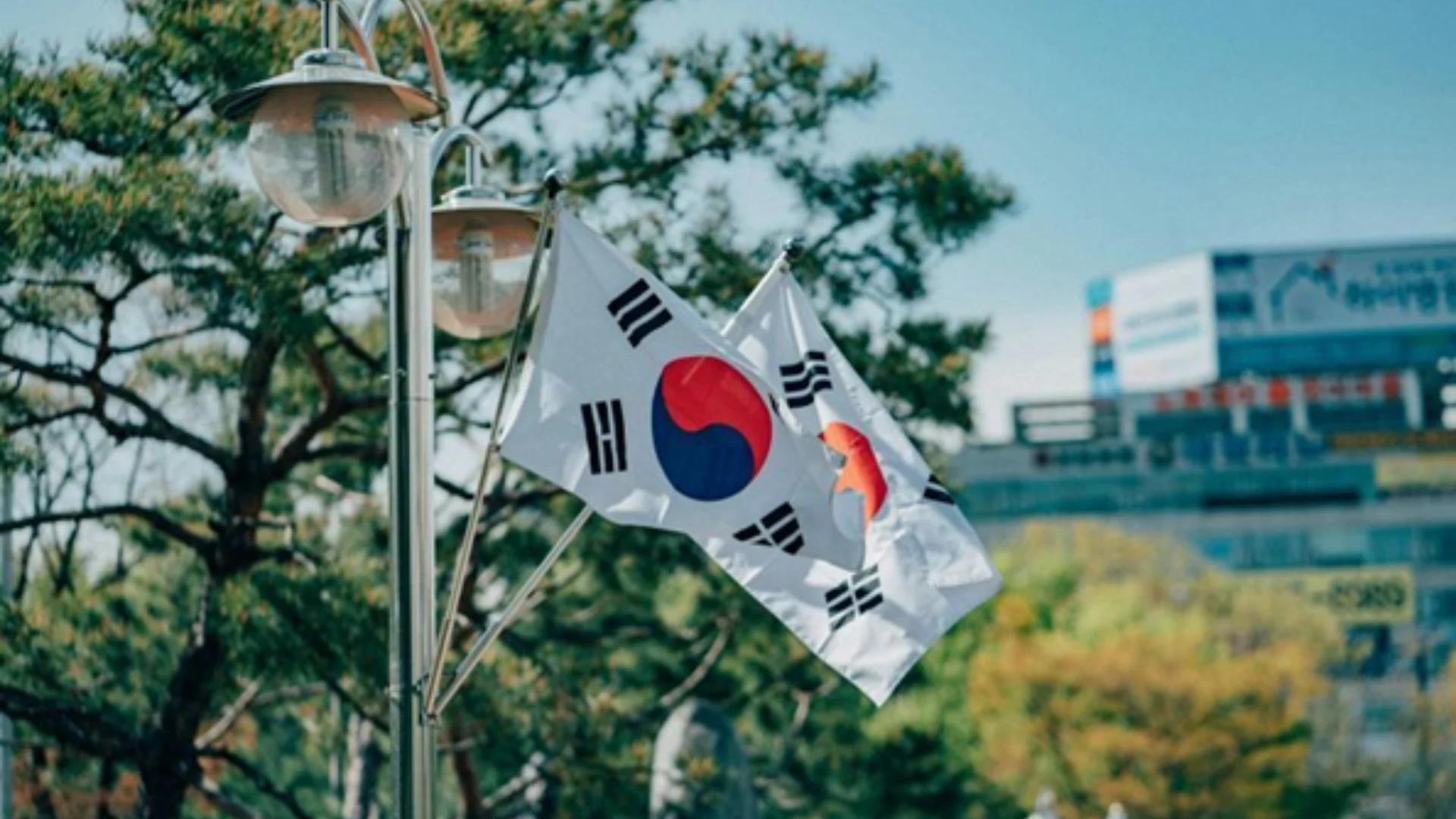 Korean Flag