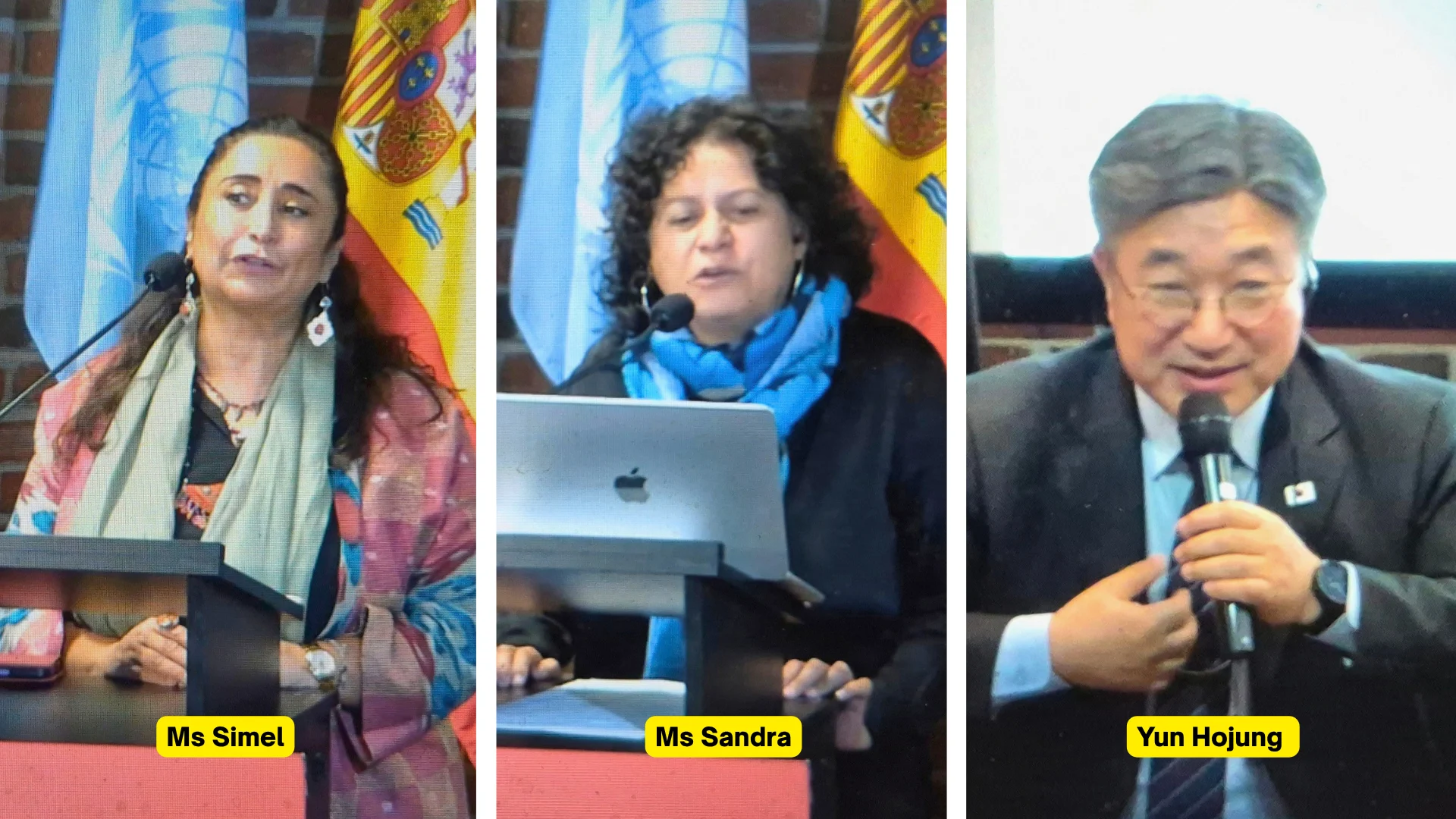 Advancing Social and Solidarity Economy (SSE) IMG3